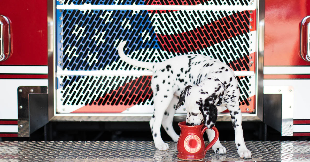 How the Dalmatian Became a Firefighter’s Best Friend